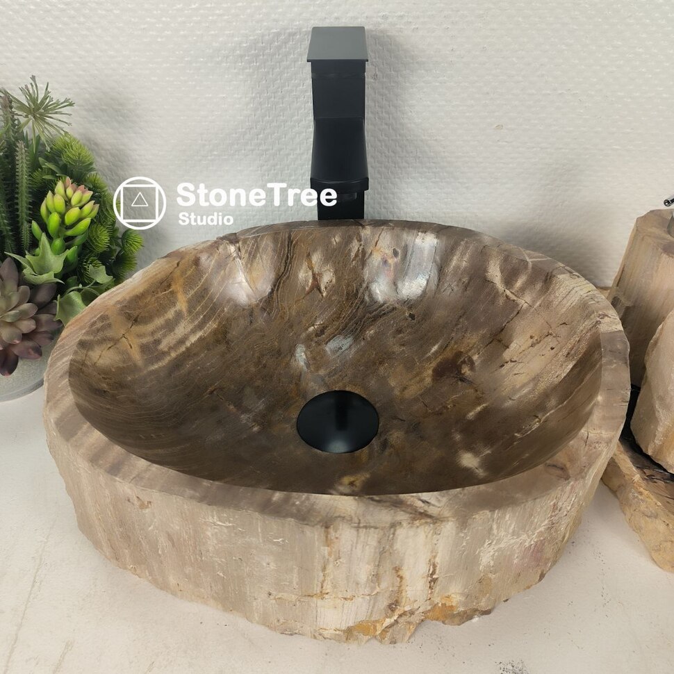 Раковина из окаменелого дерева (ST-755)