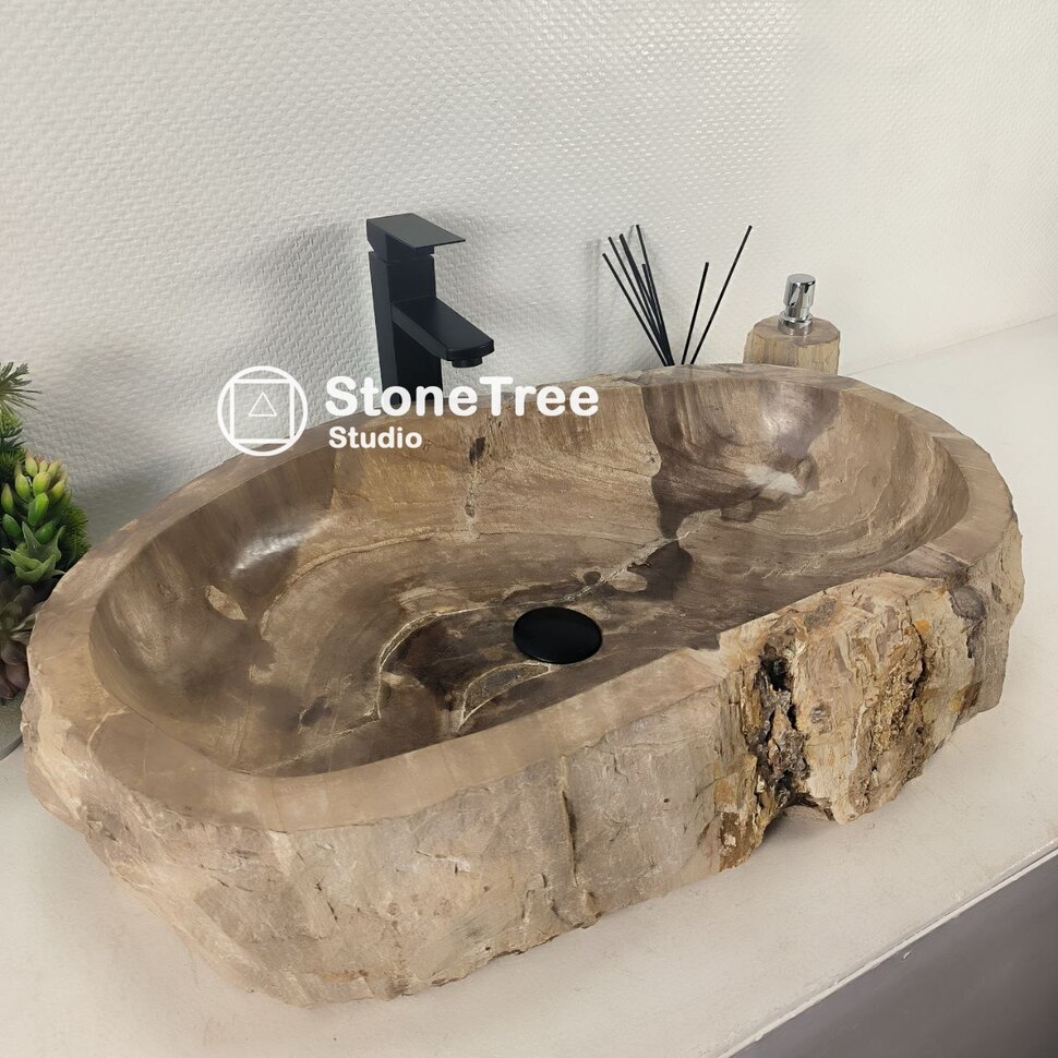 Раковина из окаменелого дерева (ST-788)